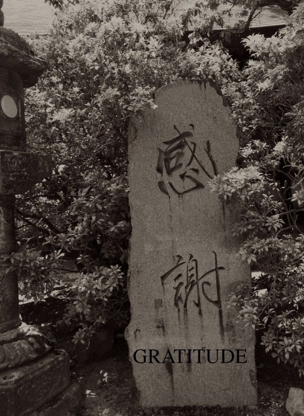 Gratitude BW
